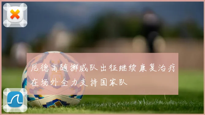 厄德高随挪威队出征继续康复治疗在场外全力支持国家队