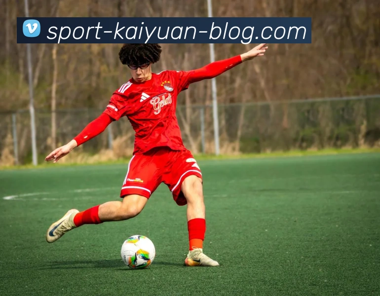 App Interface Preview