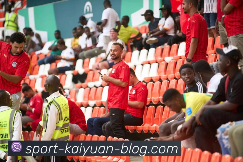 开元体育APP 封面图